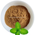 Natural Peppermint Leaves Extract Powder